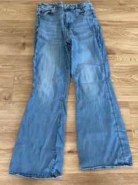 American Eagle Outfitters Light Blue Wide Leg Jeans